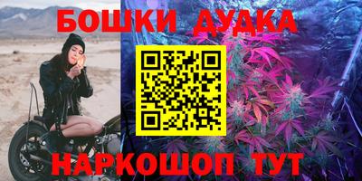 МДПВ Моздок