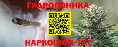 МДПВ Моздок